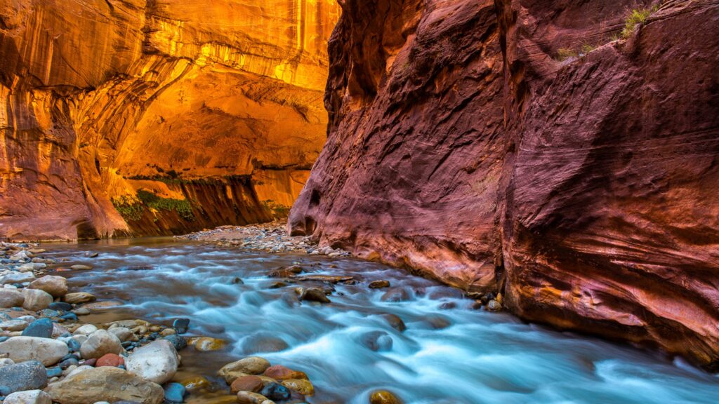 What are the most visited national parks in the USA?