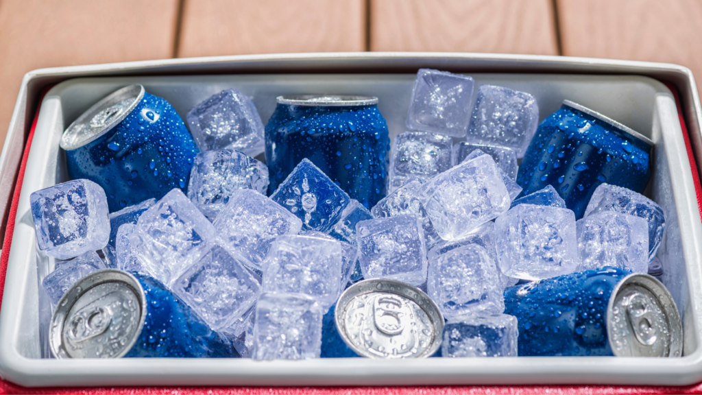 The best coolers for camping