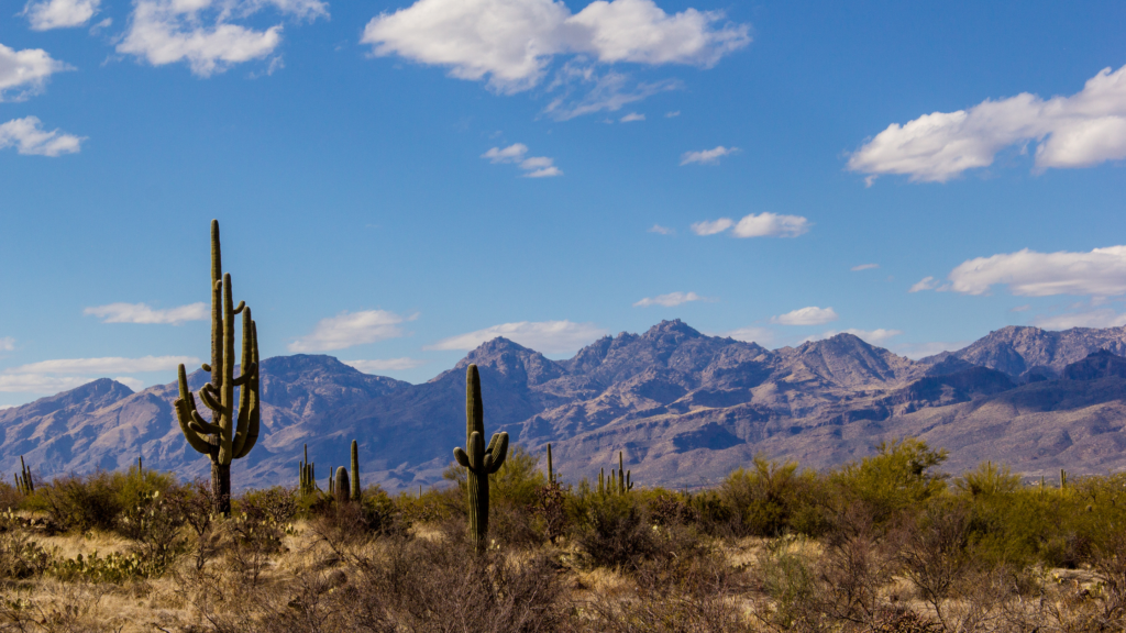 What are the best national park to visit in December?