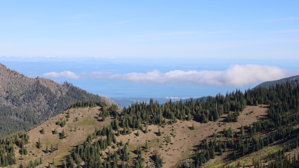 Which are the most visited and popular National Parks in the US?