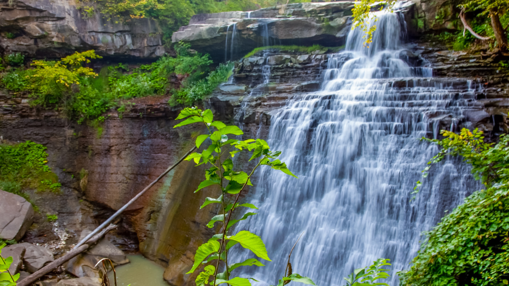 Which are the most visited and popular National Parks in the US?