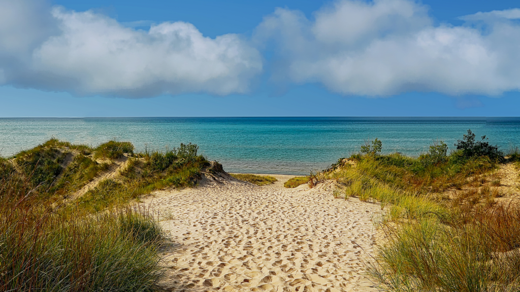 Which are the most visited and popular National Parks in the US?