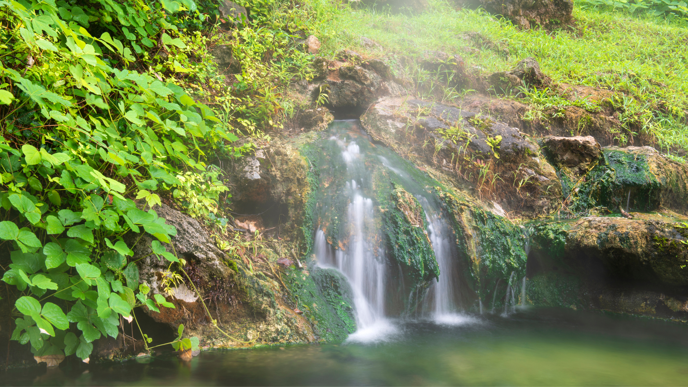 Which are the most visited and popular National Parks in the US?