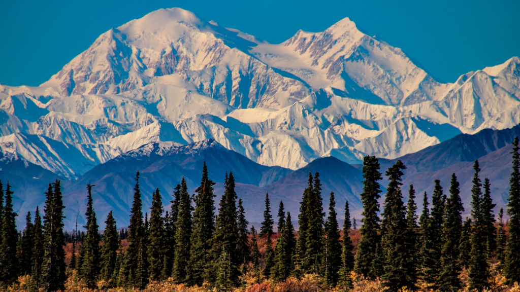 What is the least visited national park?