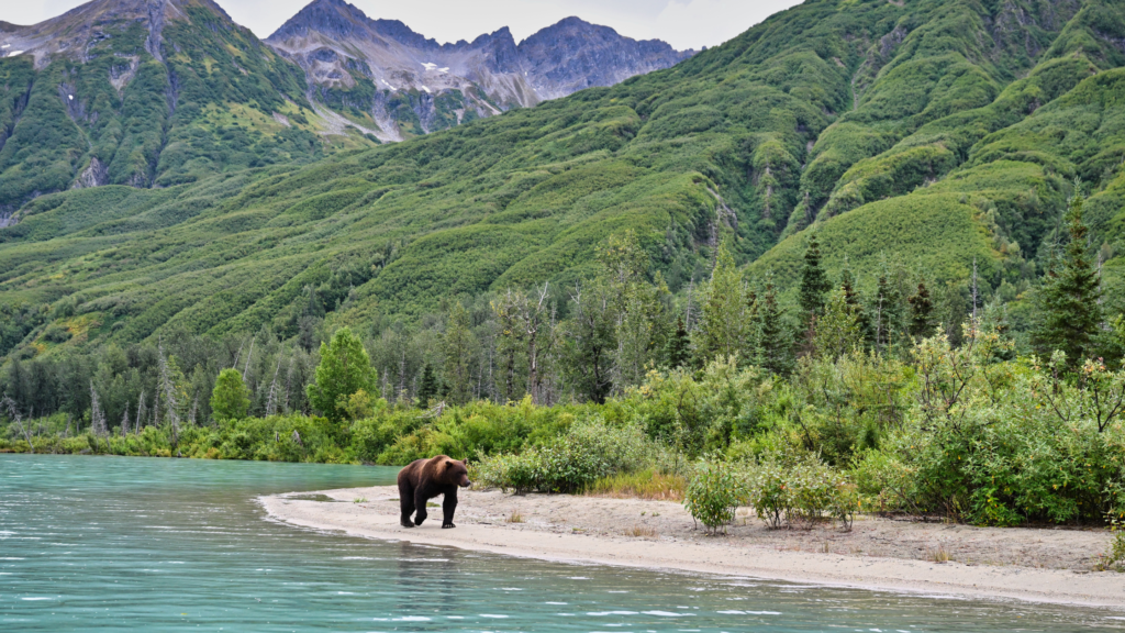 What is the least popular national park?
