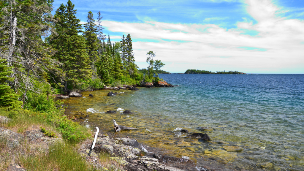 What is the least popular national park?