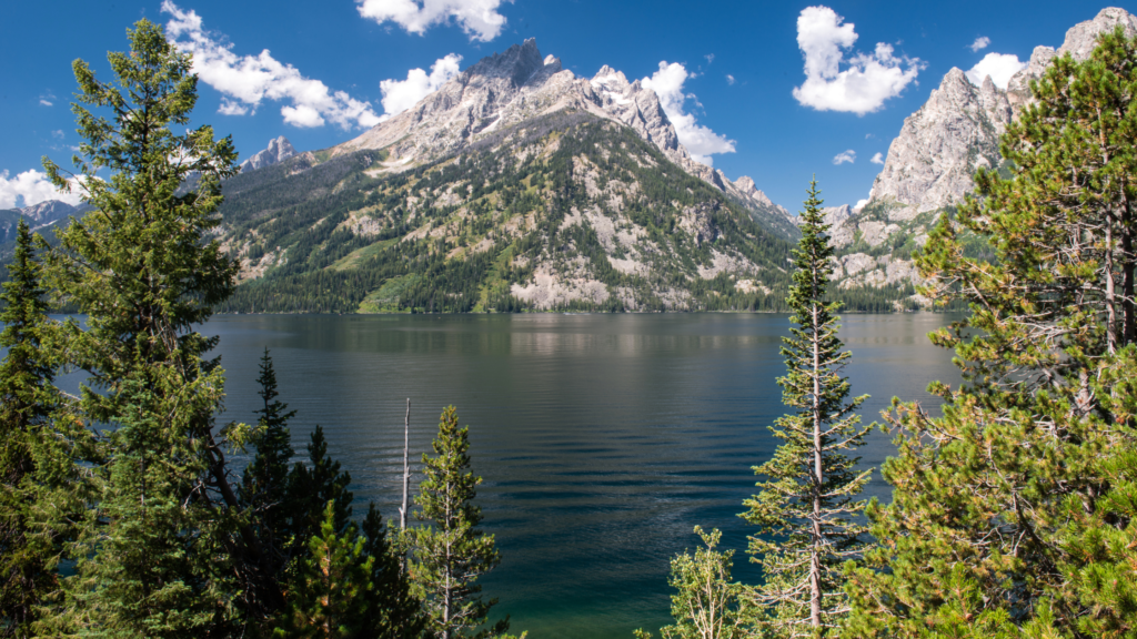 What is the most visited National Park in the US?