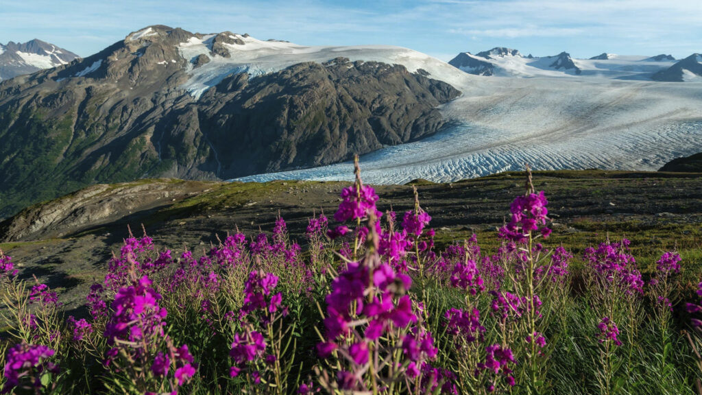 national parks to visit in august