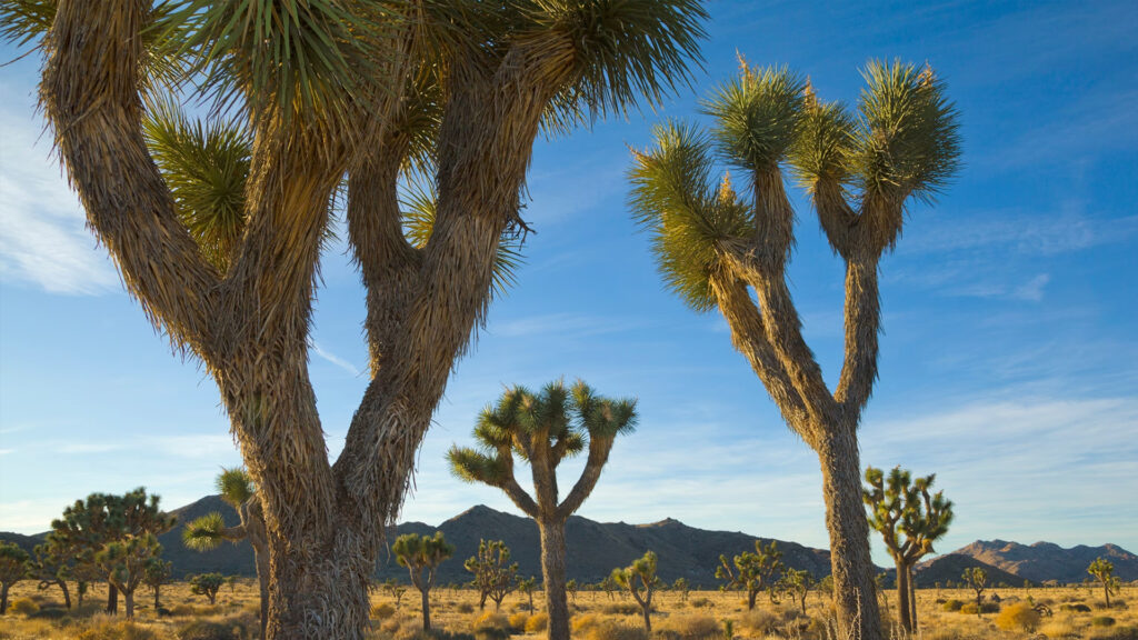 best national park to visit in april