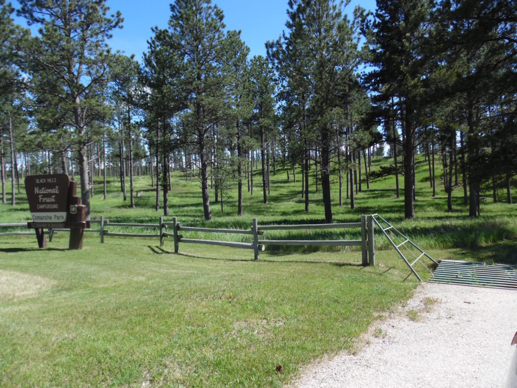 The best campgrounds in the black hills
