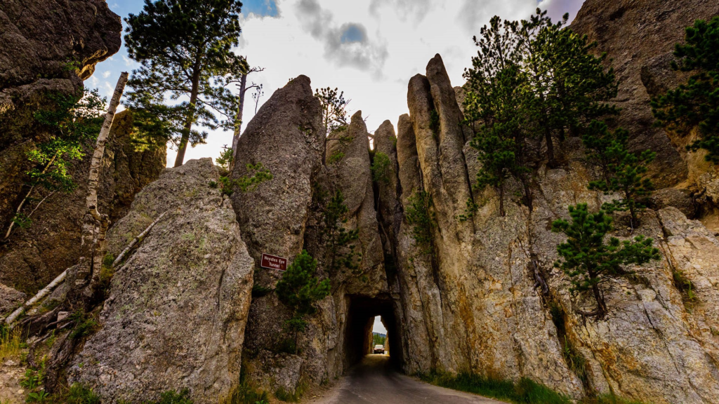Photos of Custer State Park