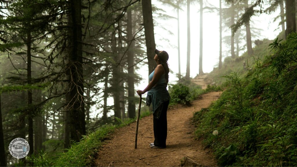 custer state park photos