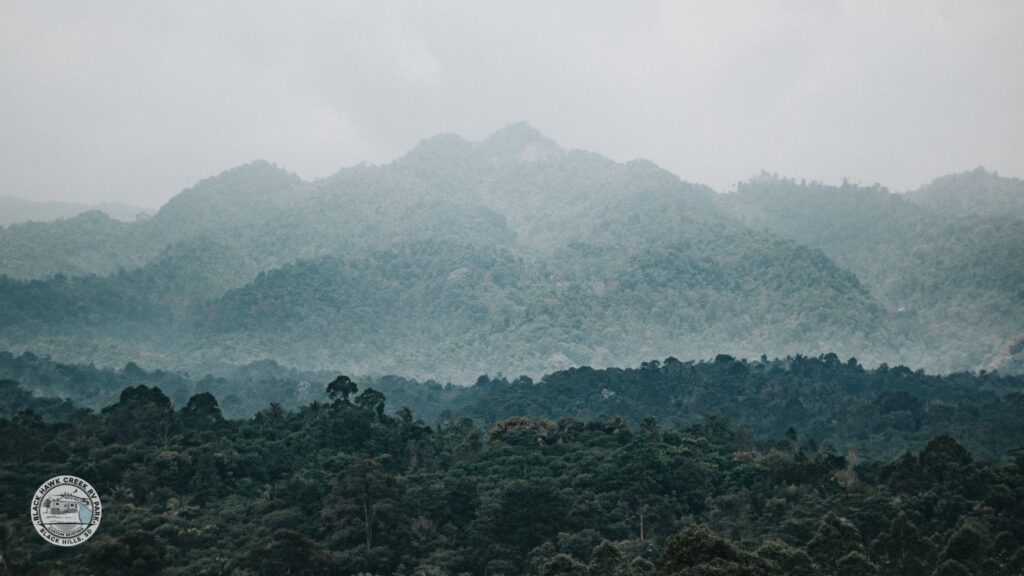 things to do in black hills sd