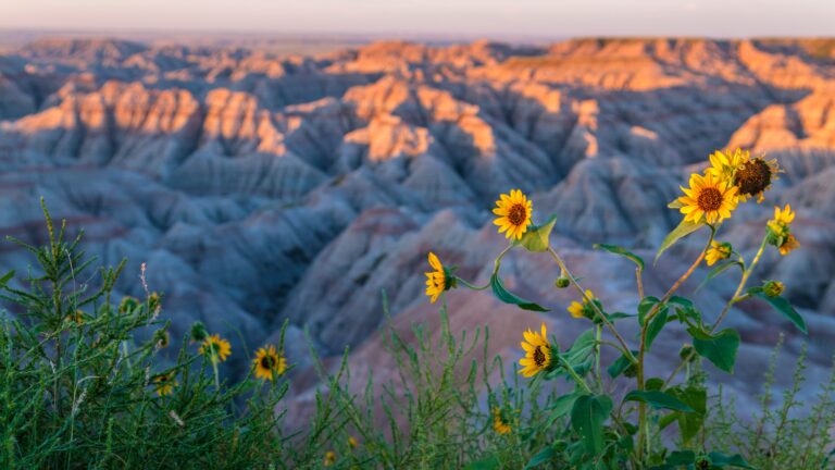 Badlands National Park, Interior, South Dakota