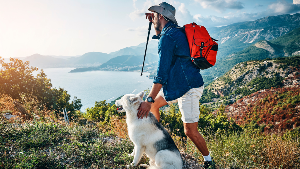 Best dog hiking & camping gear