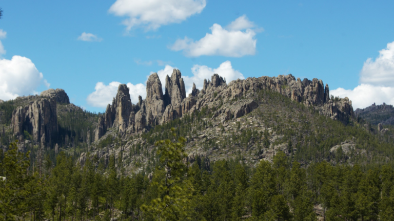 Custer Loop Guide to Driving the Scenic Custer State Park Wildlife Loop
