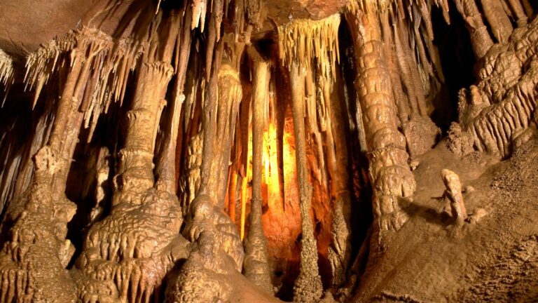 Wind Cave National Park, Hot Springs, South Dakota