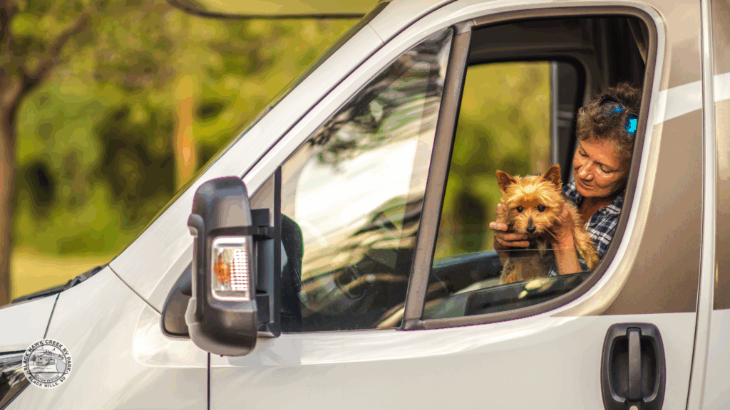 how to keep rv cool for pets