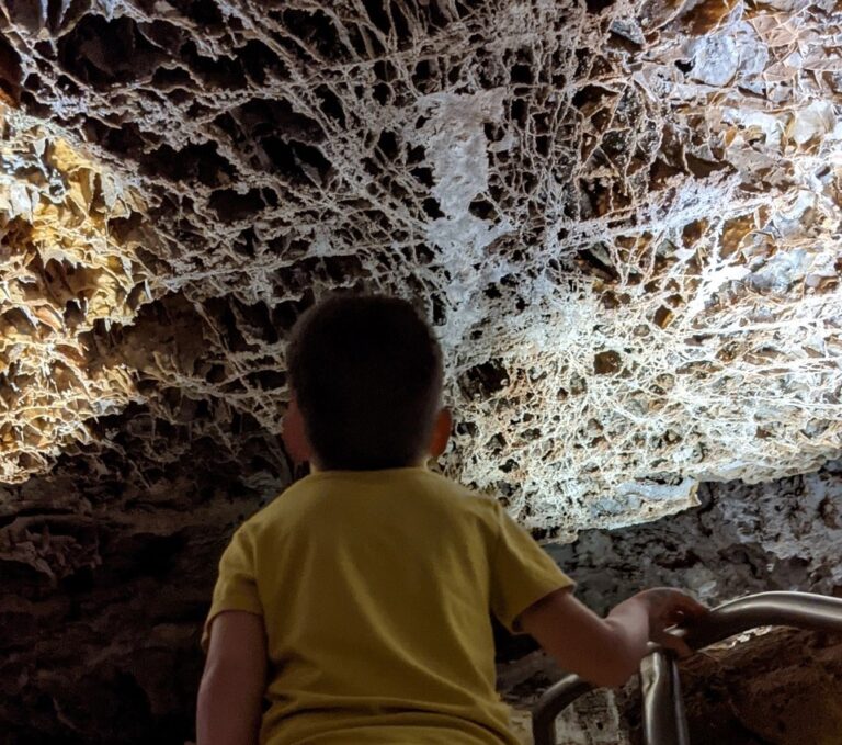 Wind Cave National Park, Hot Springs, South Dakota. Photo courtesy of the National Park Service.