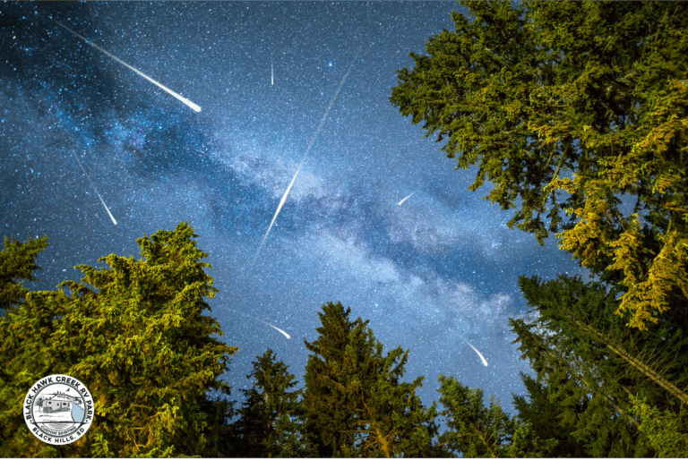 The Perseids Meteor Shower