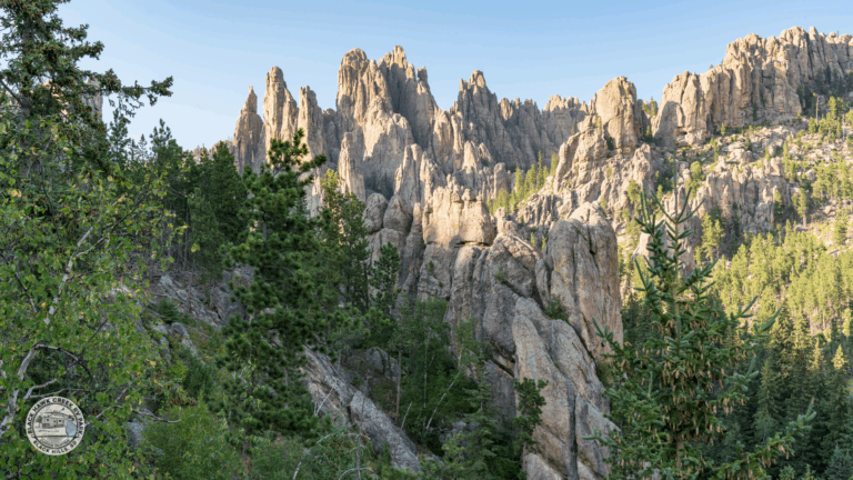 Black Hills National Forest, South Dakota