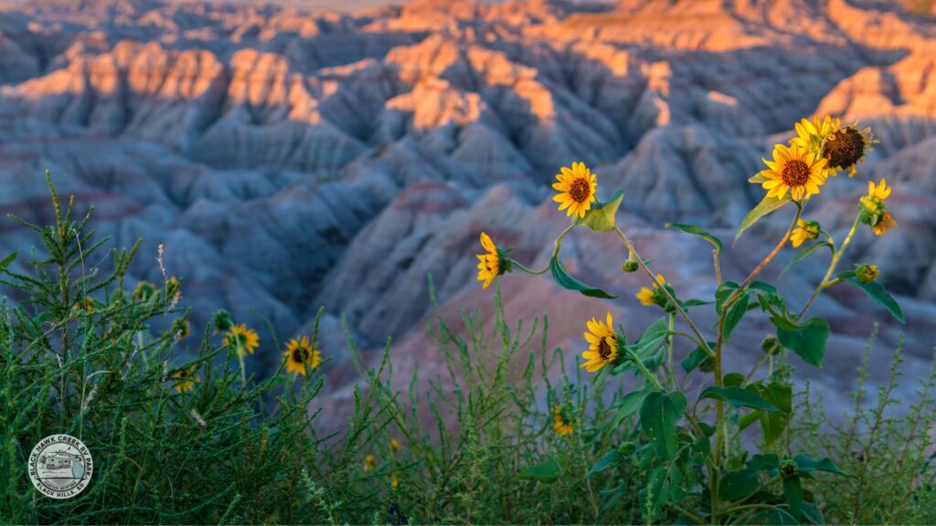 best places to live in south dakota for retirees