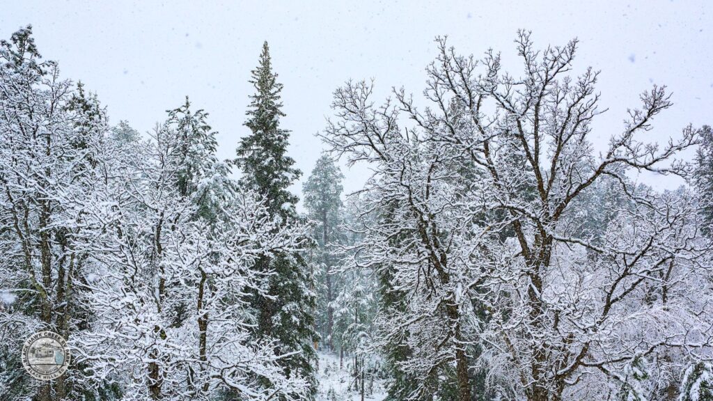 how much snow does south dakota get